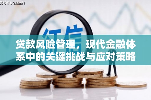 普宁贷款风险管理，现代金融体系中的关键挑战与应对策略