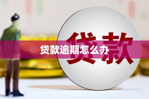 分宜贷款逾期怎么办