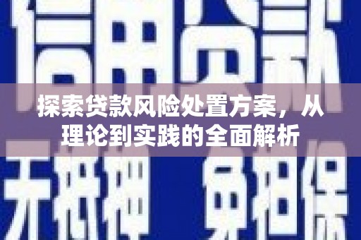 称多探索贷款风险处置方案，从理论到实践的全面解析