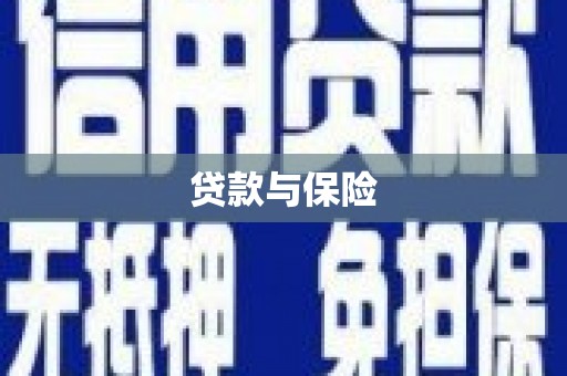 延川贷款与保险