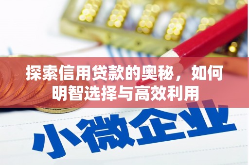 孝昌探索信用贷款的奥秘，如何明智选择与高效利用