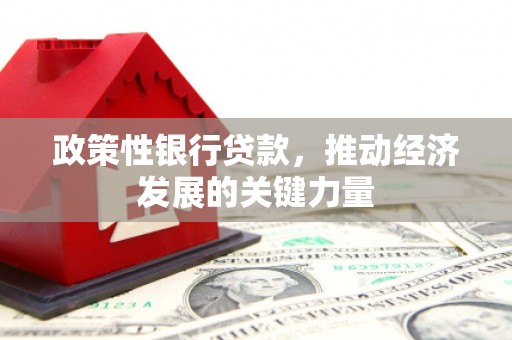 员山政策性银行贷款，推动经济发展的关键力量