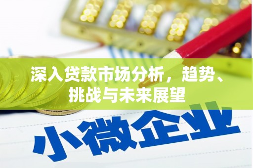 岐山深入贷款市场分析，趋势、挑战与未来展望