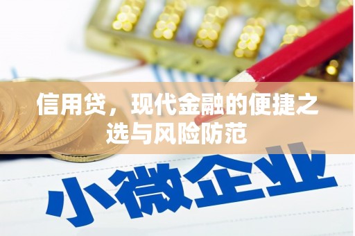 上林信用贷，现代金融的便捷之选与风险防范