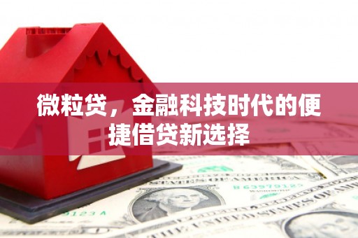 盱眙微粒贷，金融科技时代的便捷借贷新选择