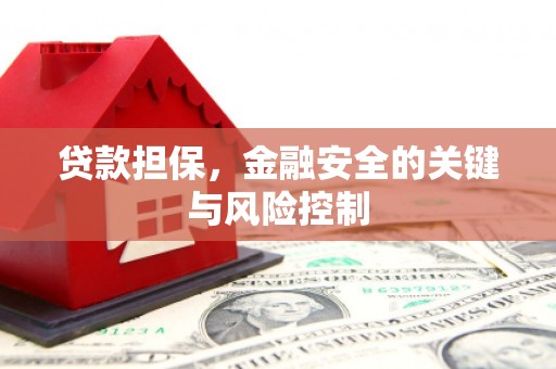 石鼓贷款担保，金融安全的关键与风险控制