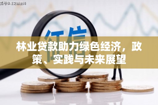 鹿城林业贷款助力绿色经济，政策、实践与未来展望