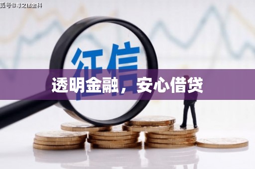 板芙透明金融，安心借贷