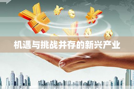 昭平机遇与挑战并存的新兴产业