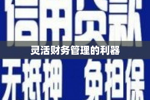 崖州灵活财务管理的利器