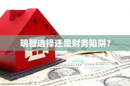 扶绥明智选择还是财务陷阱？