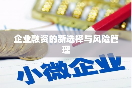 全南企业融资的新选择与风险管理