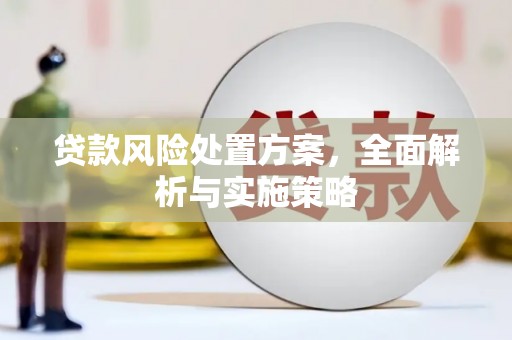 普兰贷款风险处置方案，全面解析与实施策略