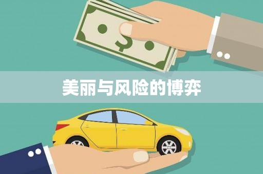 从江美丽与风险的博弈