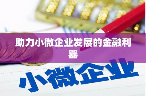 隆回助力小微企业发展的金融利器