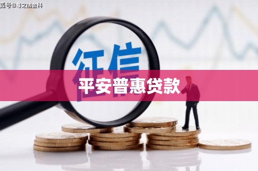 洛浦平安普惠贷款