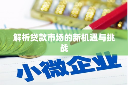 云龙解析贷款市场的新机遇与挑战
